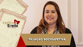 Explica Direito Filiação Socioafetiva  2019 [upl. by Soilisav]